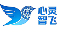 心灵智飞